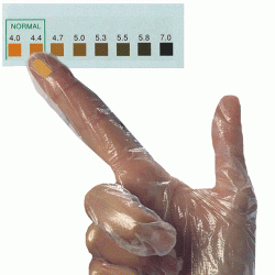Careplan VpH – rękawice testowe do badania pH pochwy - 50 sztuk